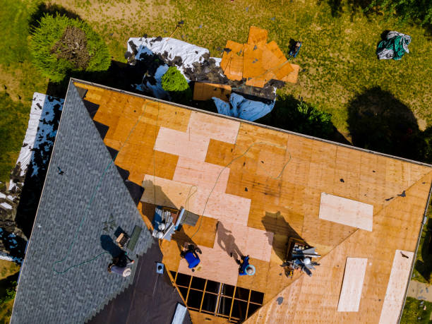 Professional Roofing Contractor in Blountville, TN