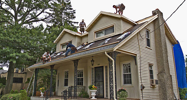Best Storm Damage Roof Repair  in Blountville, TN
